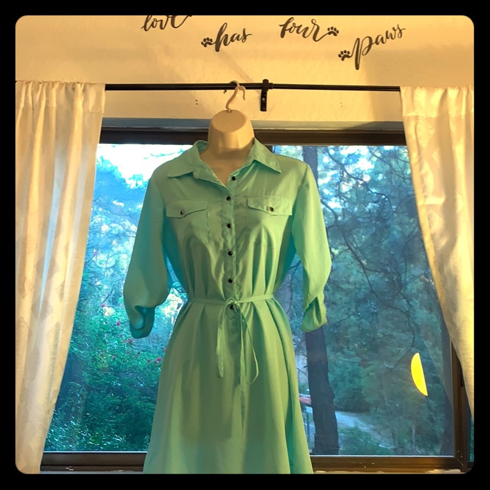 Mint Green Belted Button Down Dress